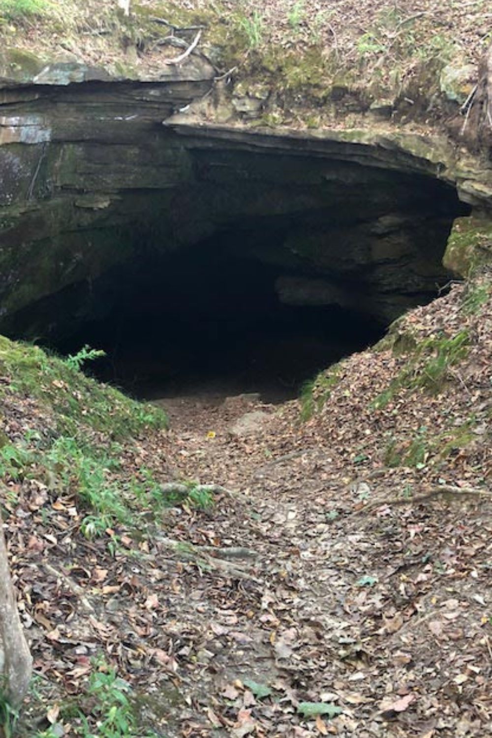 Ultimate Guide to Cave Spring, Mississippi (Tours, Pricing, History