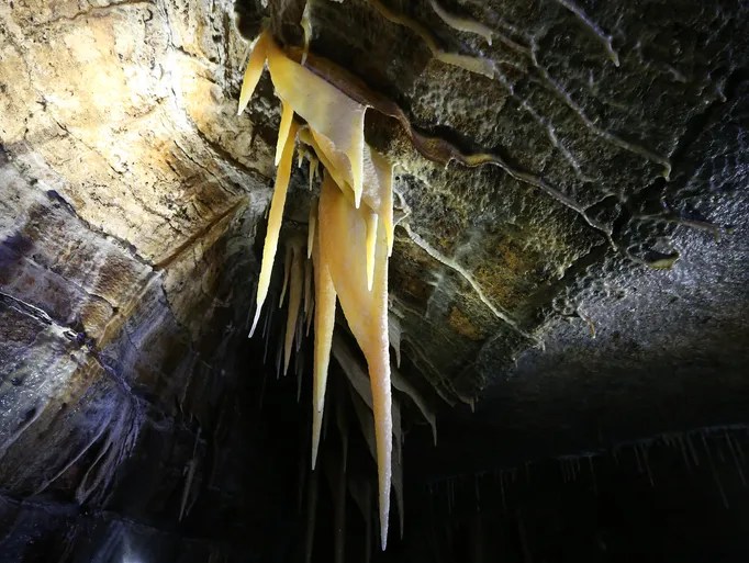 Ultimate Guide to Coldwater Cave, Iowa (Tours, Pricing, History, Map