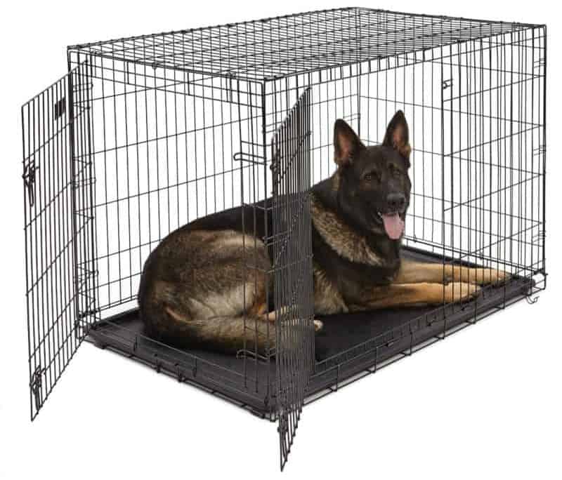 Best Dog Crate for German Shepherds My Pick! World of Dogz
