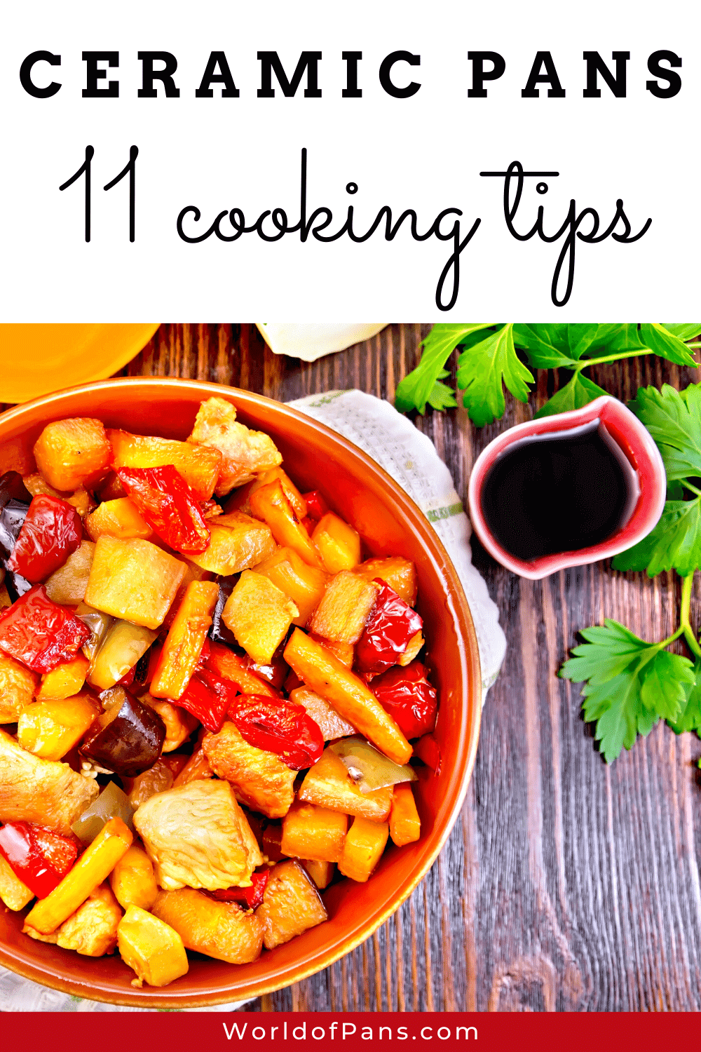 How to Cook With Ceramic Pans? 11 Best Practices to Follow! World of Pans