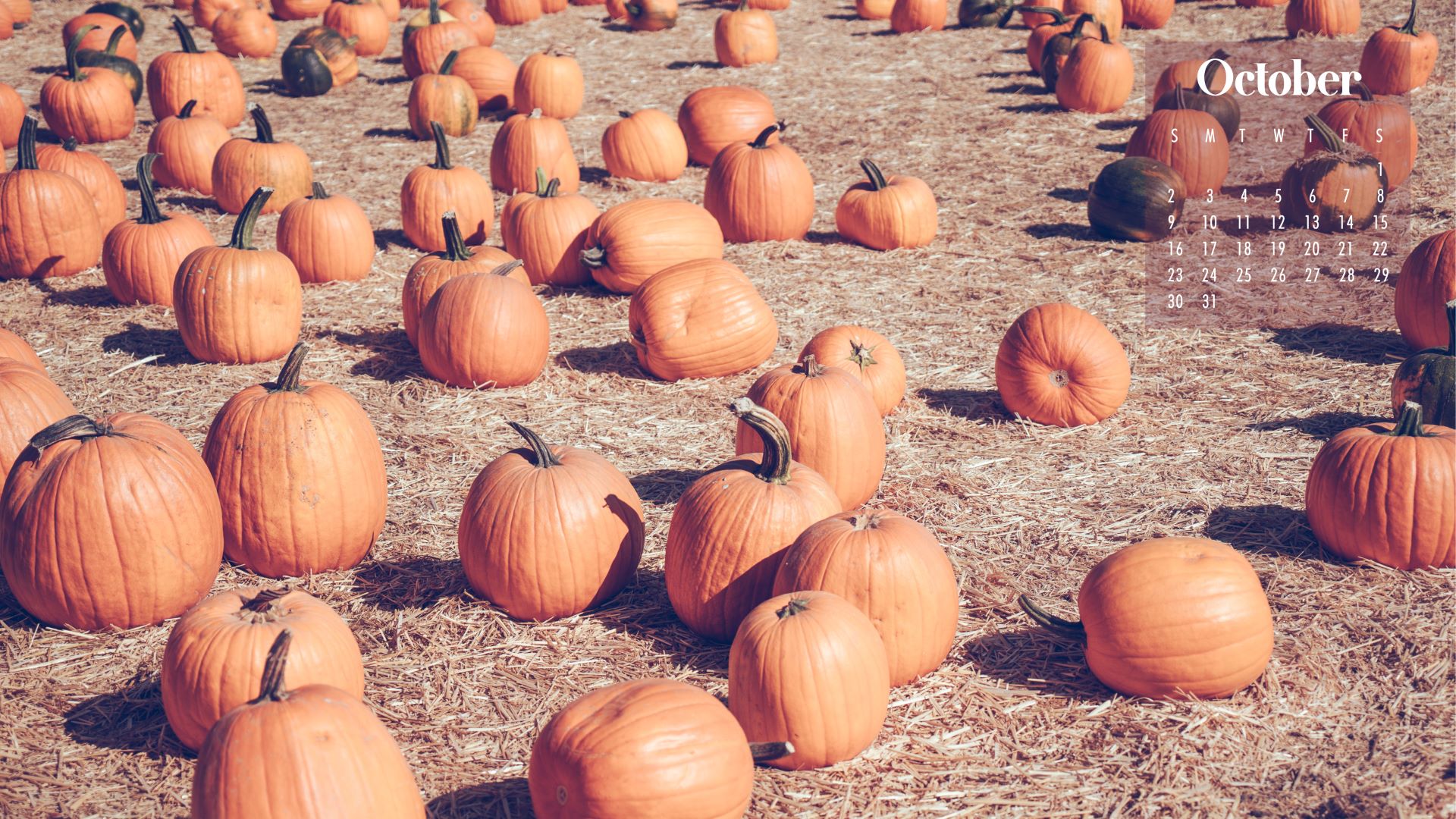 Discover more than 70 october 2022 calendar desktop wallpaper best in