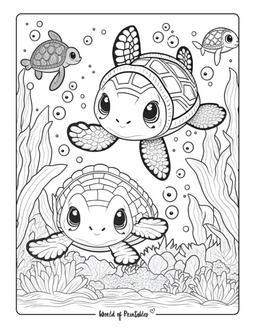 Printable Turtle Coloring Pages