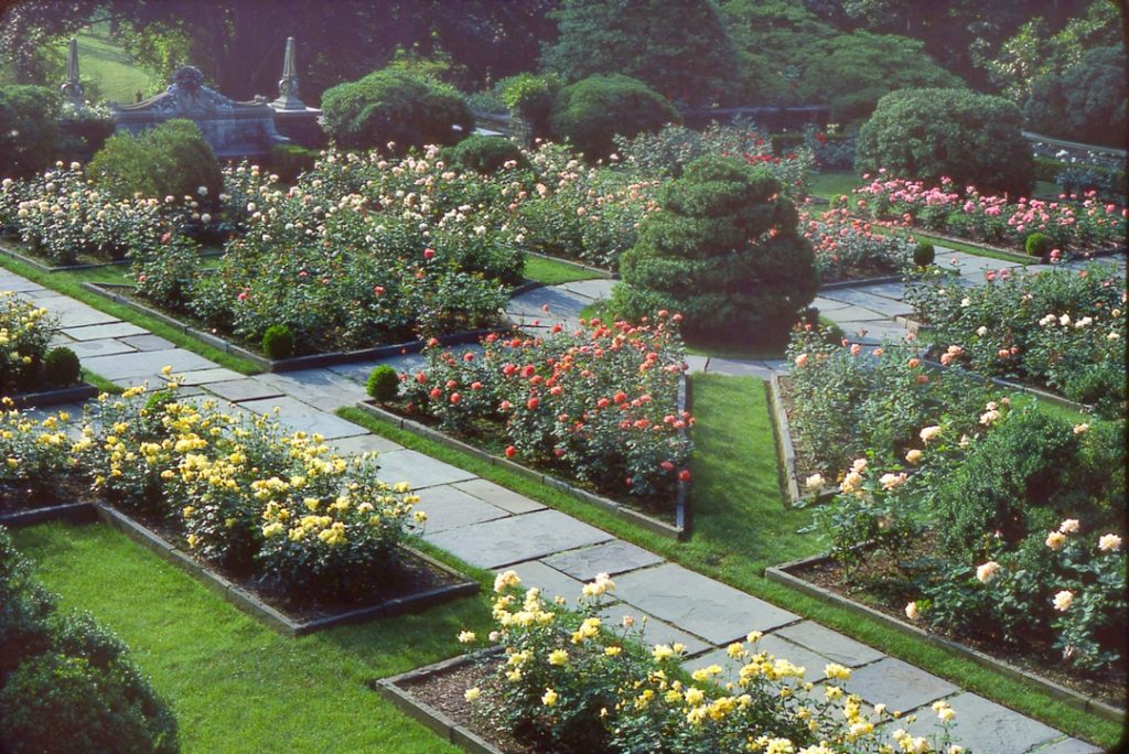 Rediscovering Dumbarton Oaks and One of America’s First Landscape