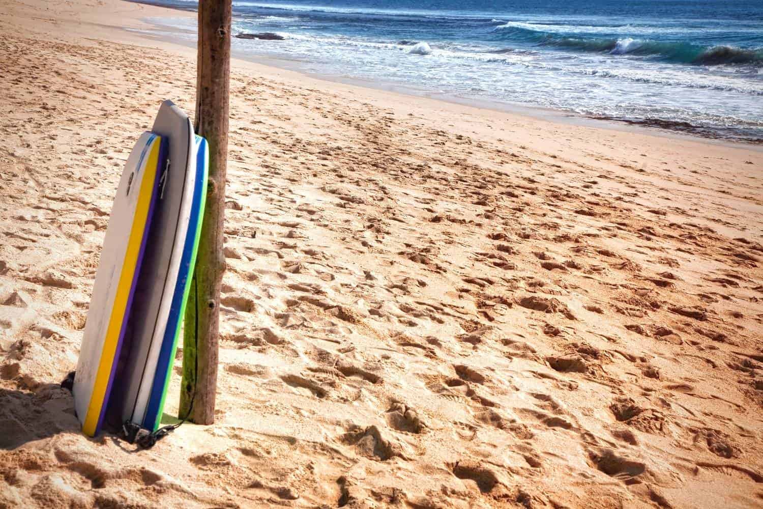 The 4 Best Bodyboard Bags in 2023 Buyers Guide