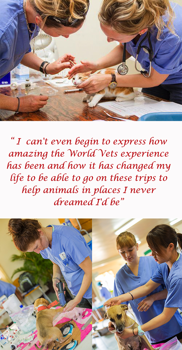 MORE ABOUT VETERINARY TECHNICIAN/STUDENT POSITIONS World Vets to