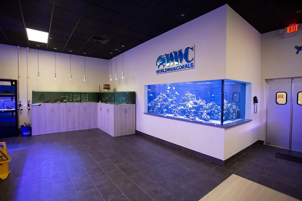 World Wide Corals Superstore Orlando Aquarium Store