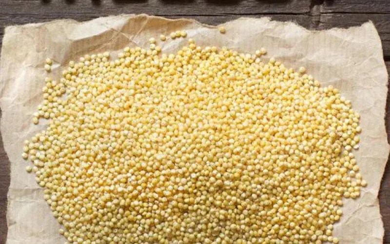 Millet Magic Nourish and Delight in Your Culinary Journey