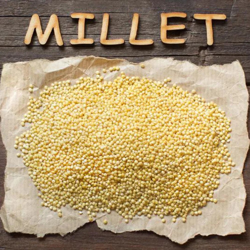 Millet Magic Nourish and Delight in Your Culinary Journey