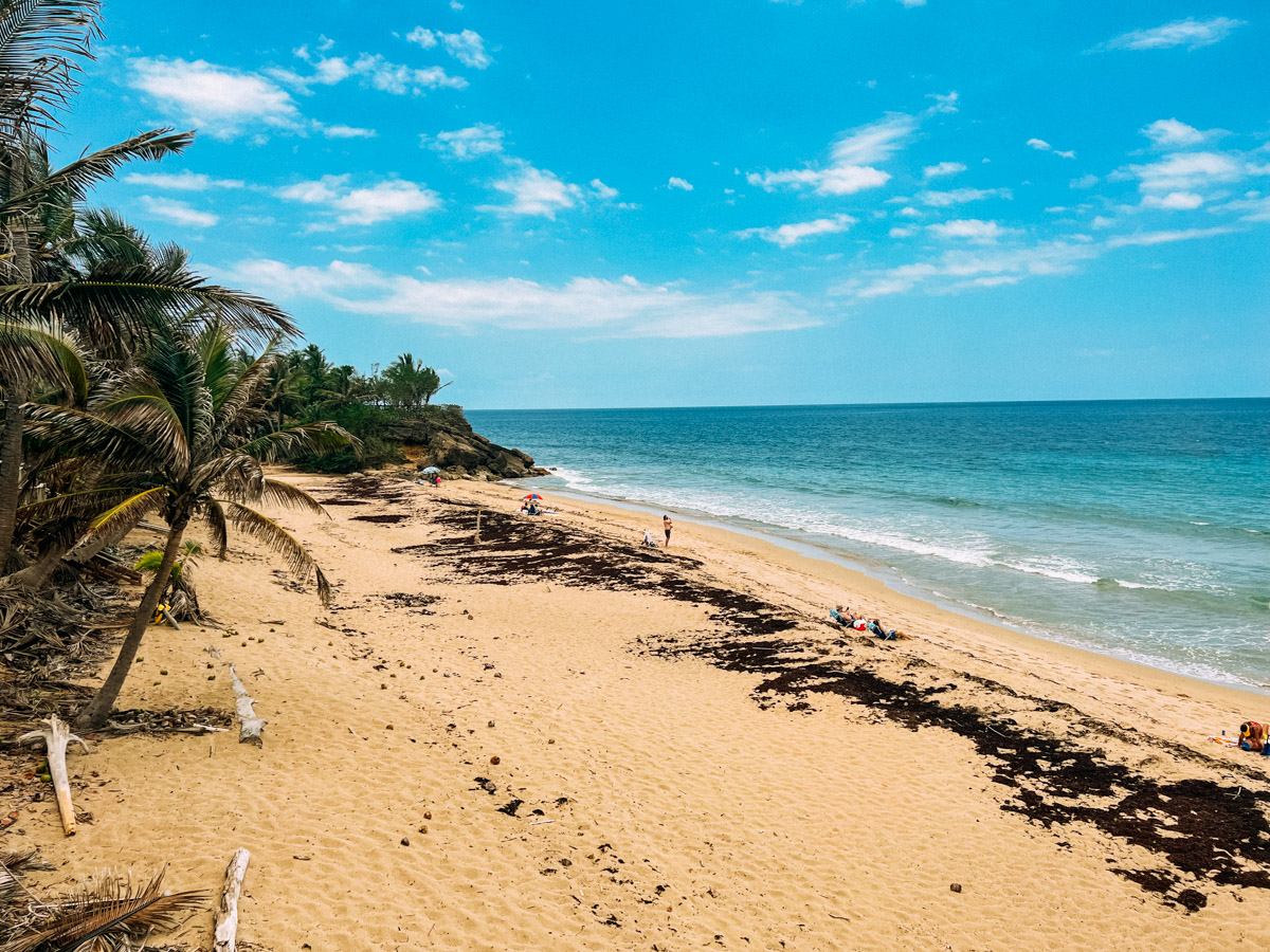 Best Puerto Rico Itinerary in 7 Days San Juan, Vieques, Rincon, and