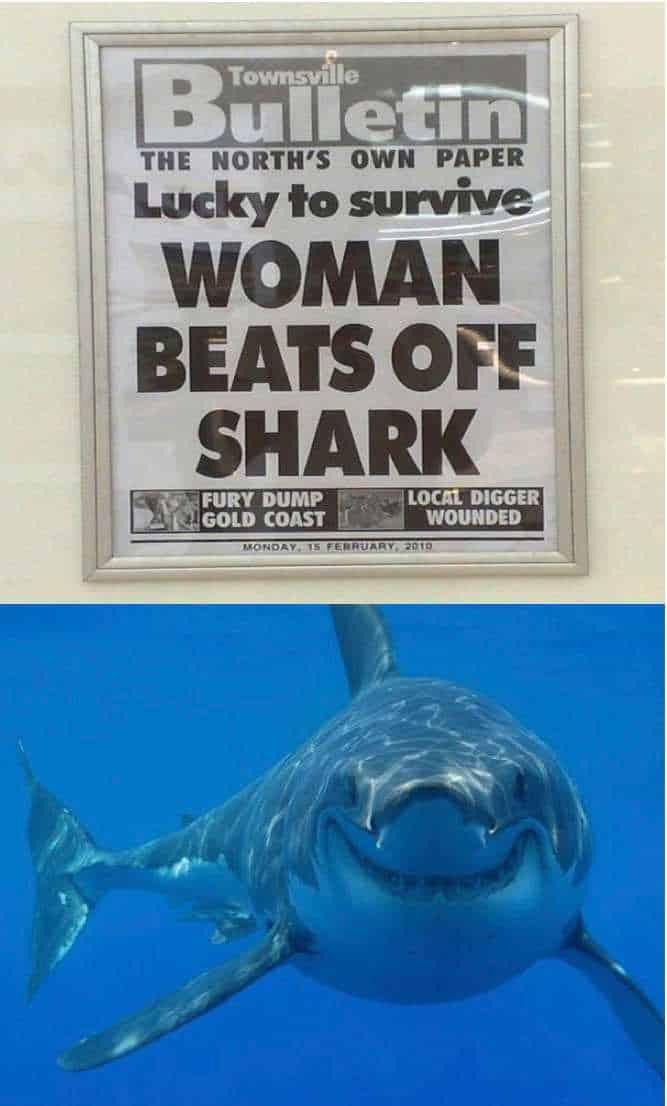 The 21 Funniest Shark Memes Ever (GALLERY)
