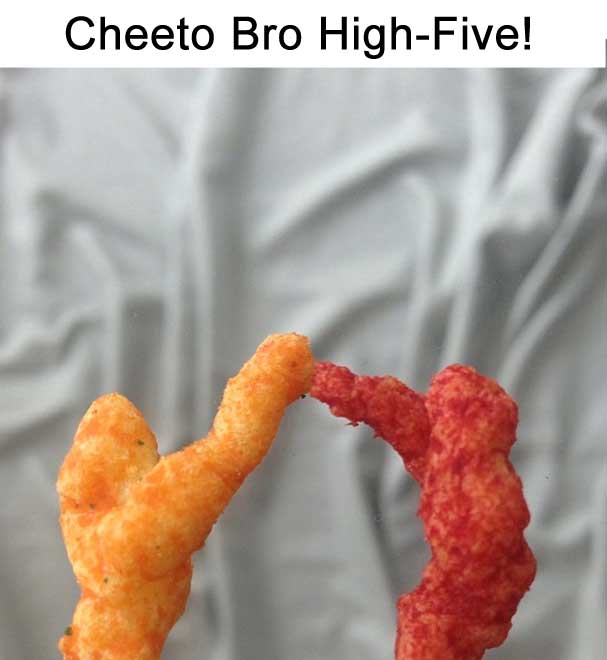 Snack Chips That Totally Look Like Stuff WorldWideInterweb