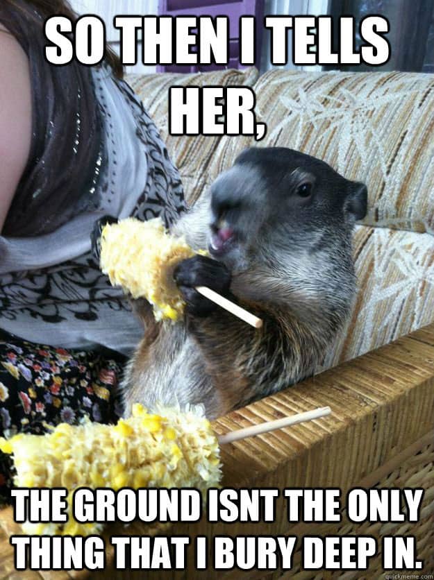 It's Groundhog Day... Again (20 PICTURES) WorldWideInterweb