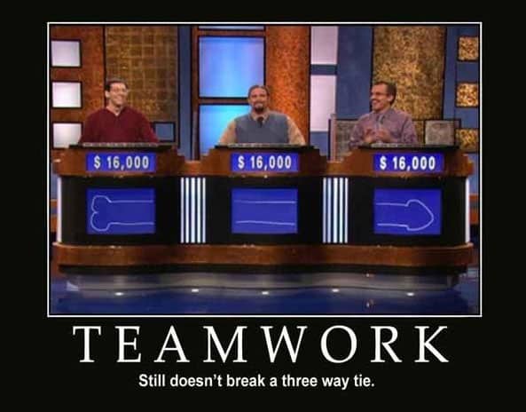 It's All About Teamwork (20 PICTURES)