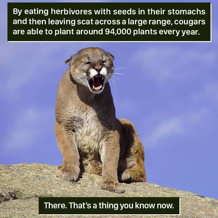 'Weird Animal Facts' Are Way Better Than Boring Human Facts