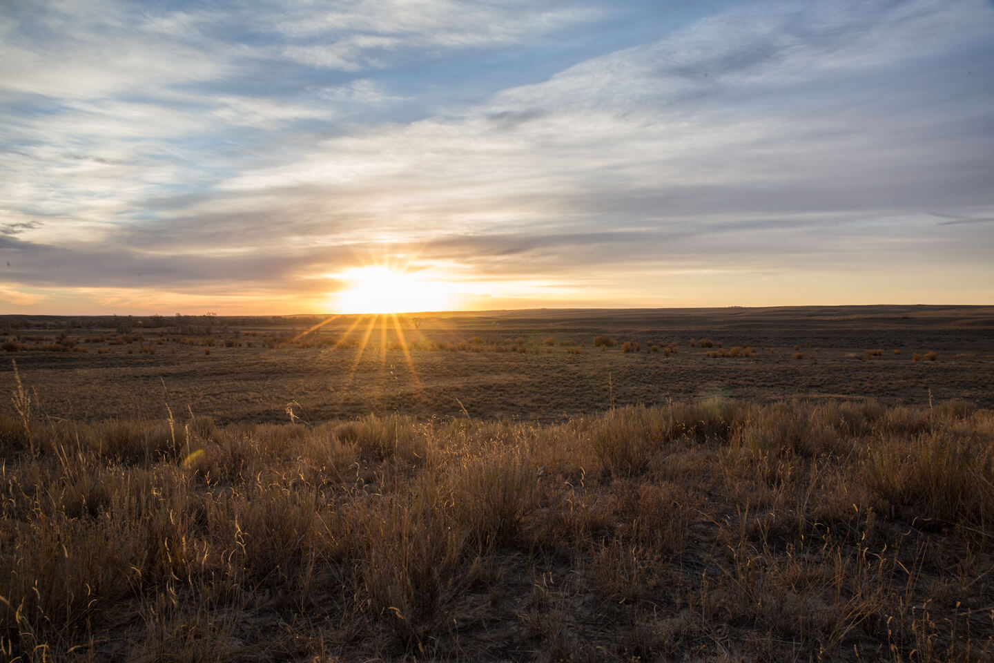 Colorado Eastern Plains Whitetail Worldwide Trophy Adventures