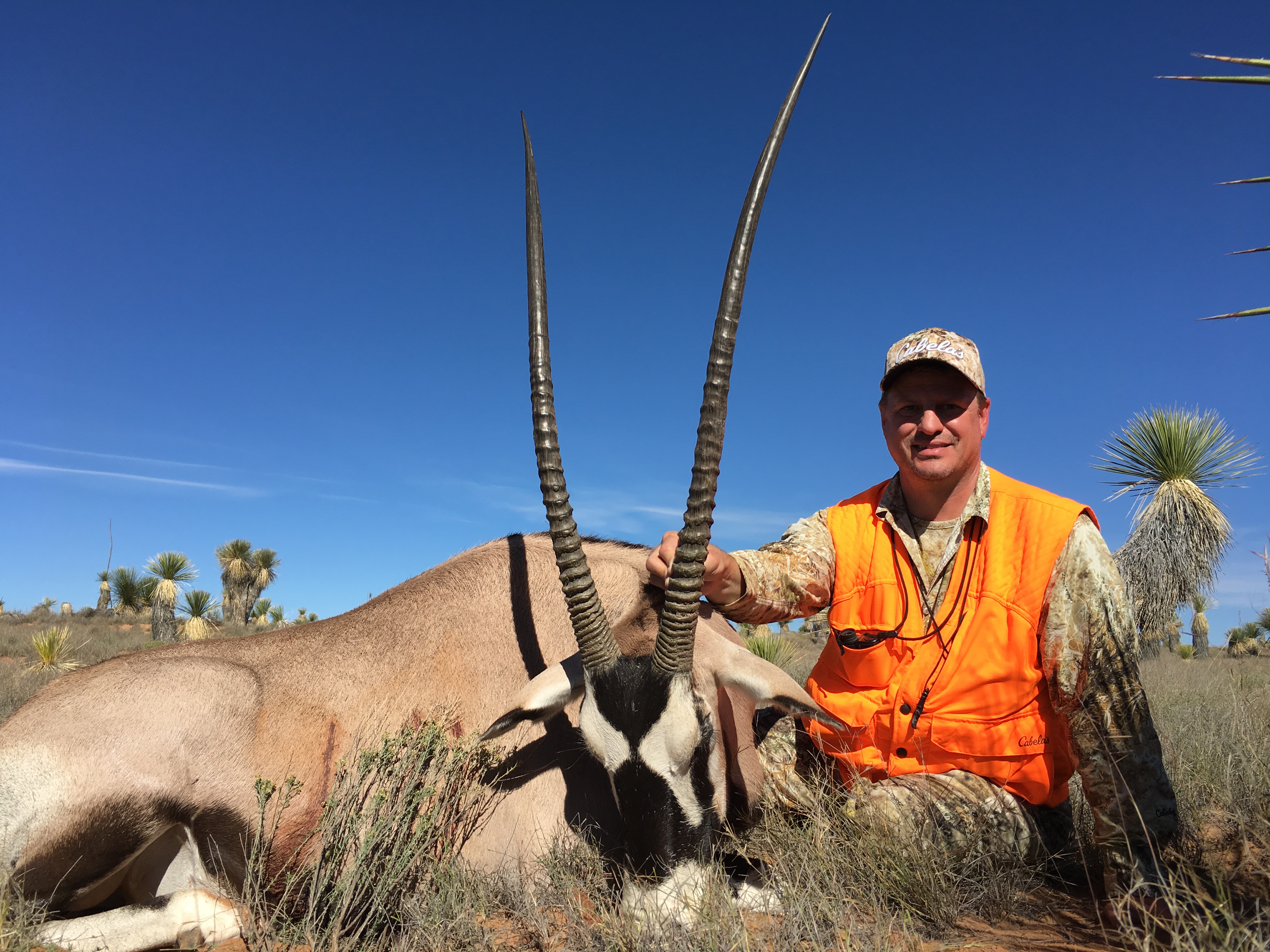 New Mexico Exotics Oryx & Ibex Worldwide Trophy Adventures