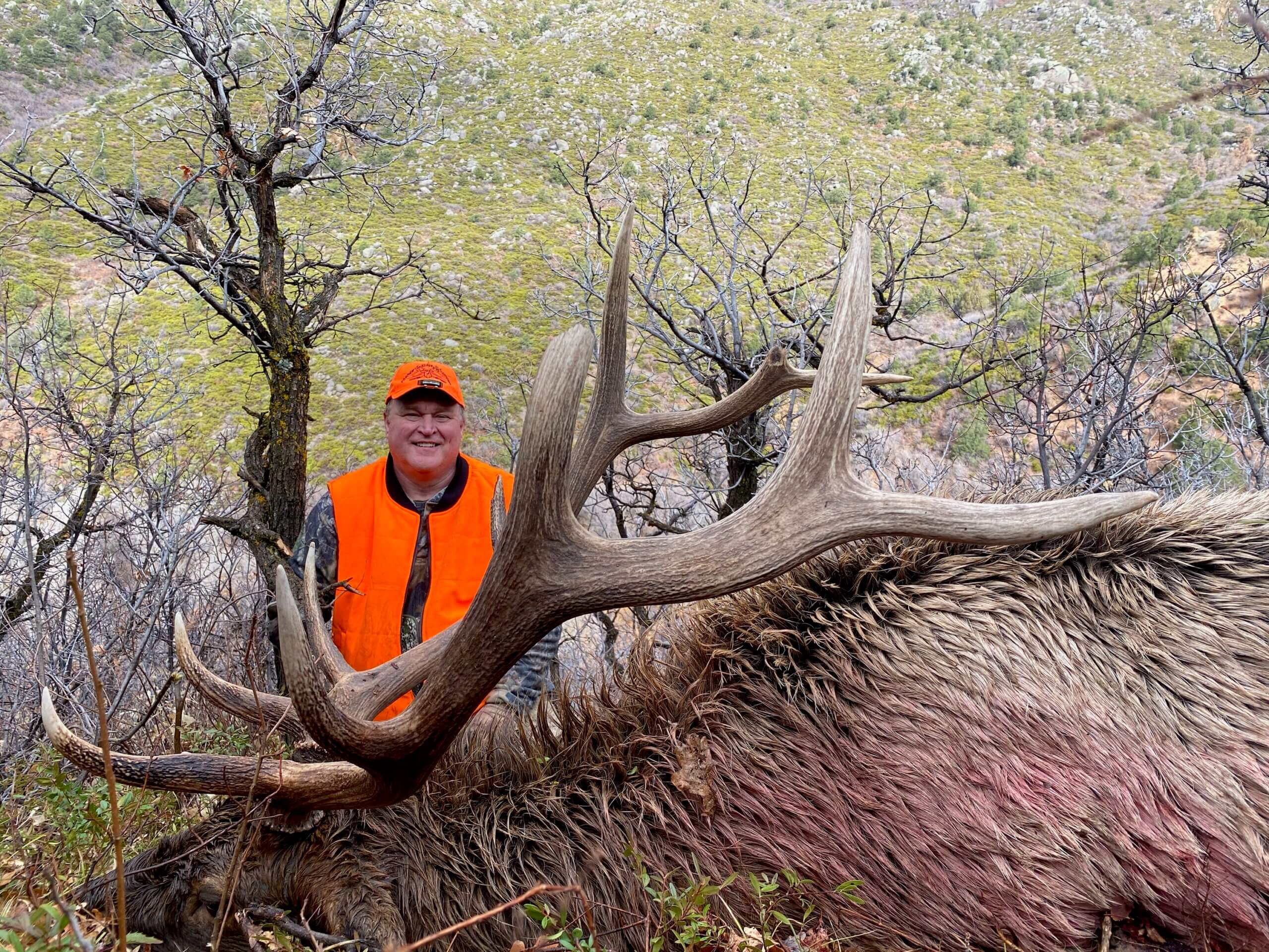 Unit 40 Colorado Trophy Bull Elk