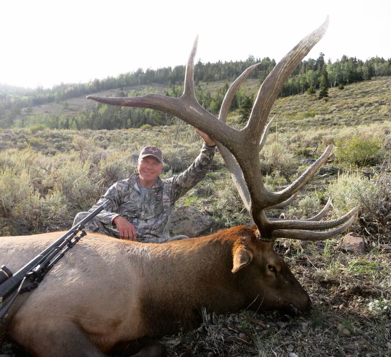 Utah Private Land World Class Bulls