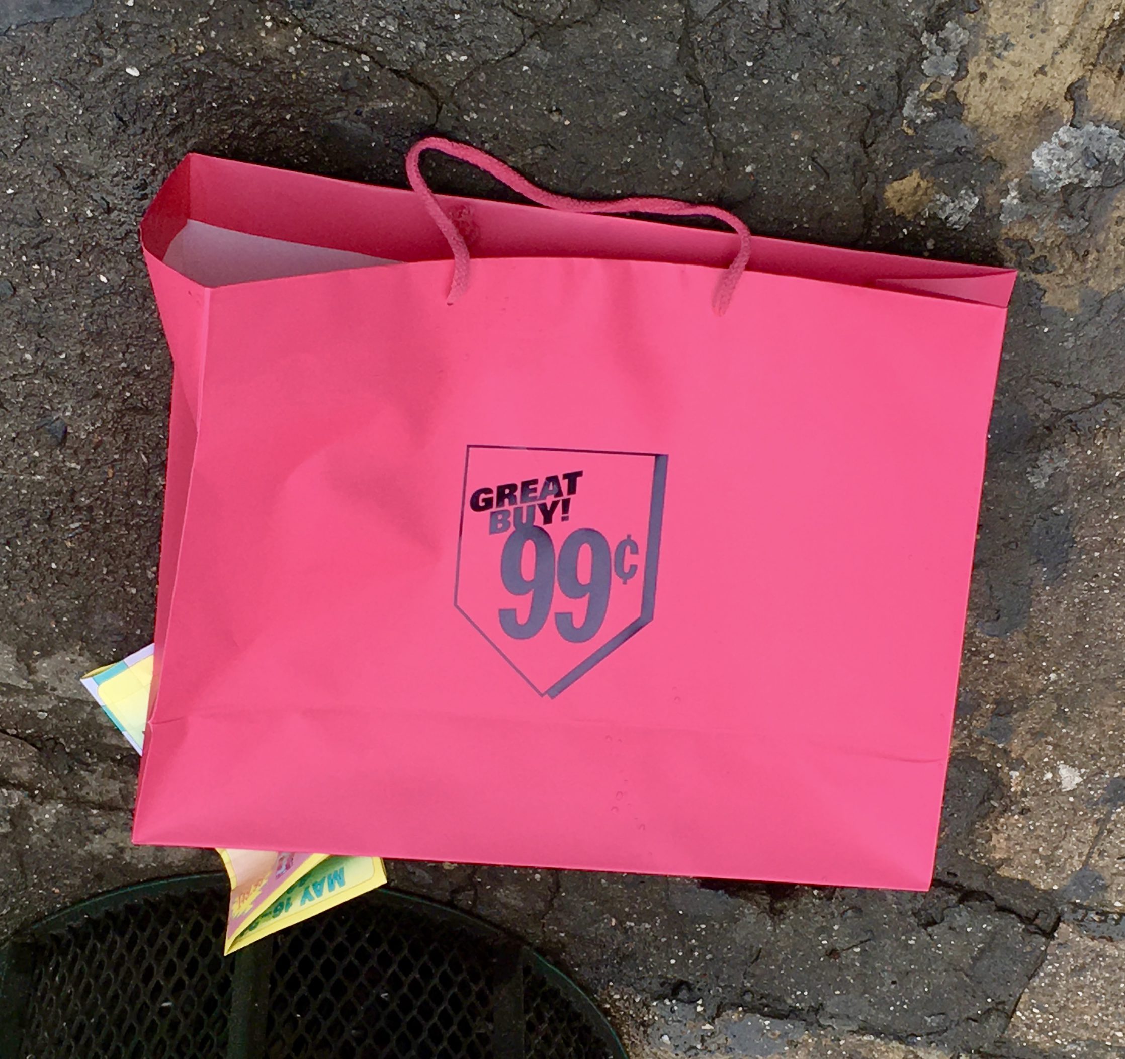 Pink Thing of The Day Pink Shopping Bag From the 99 Cent Store The