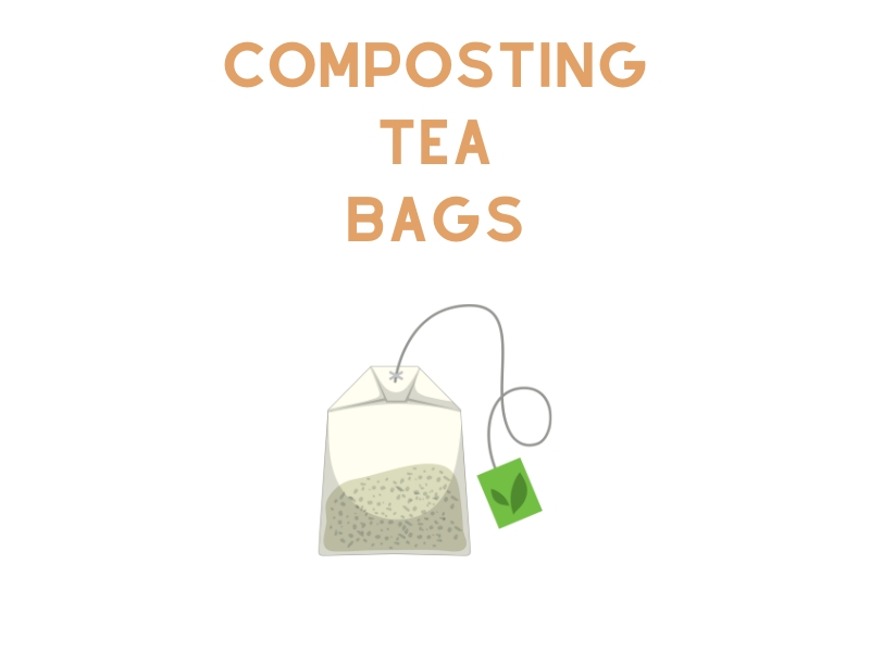 Composting Tea Bags Are They Compostable? (Only The Truth)