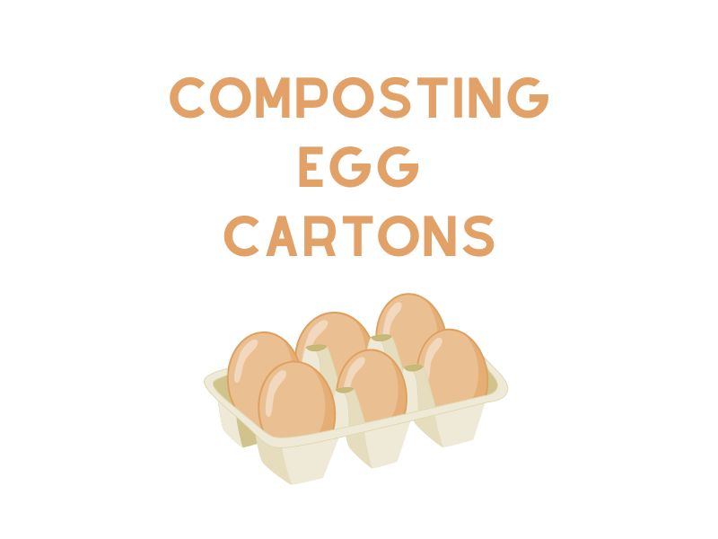 Composting Egg Cartons (StepbyStep Guide) WormsKillWaste