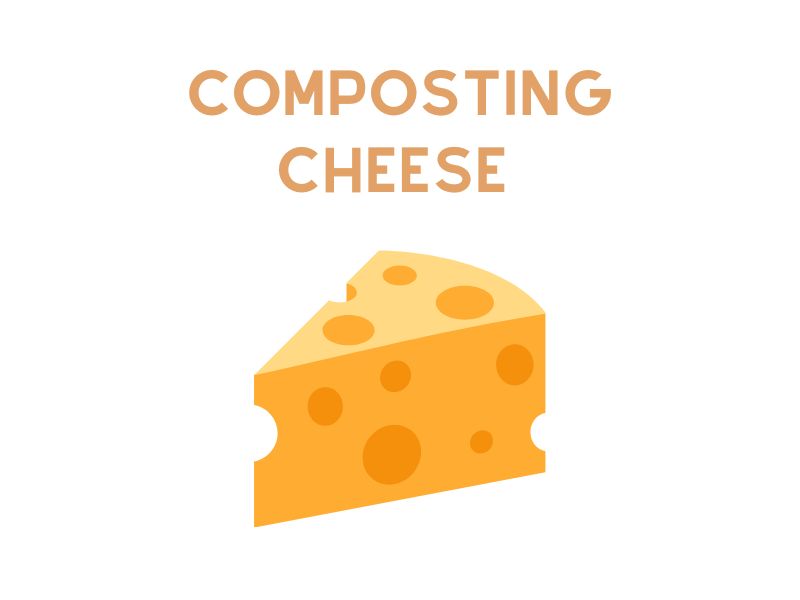 Can You Compost Cheese? WormsKillWaste
