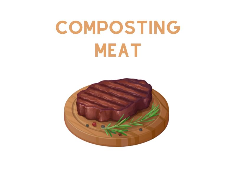 Can you compost meat? (Is It Even Possible?)