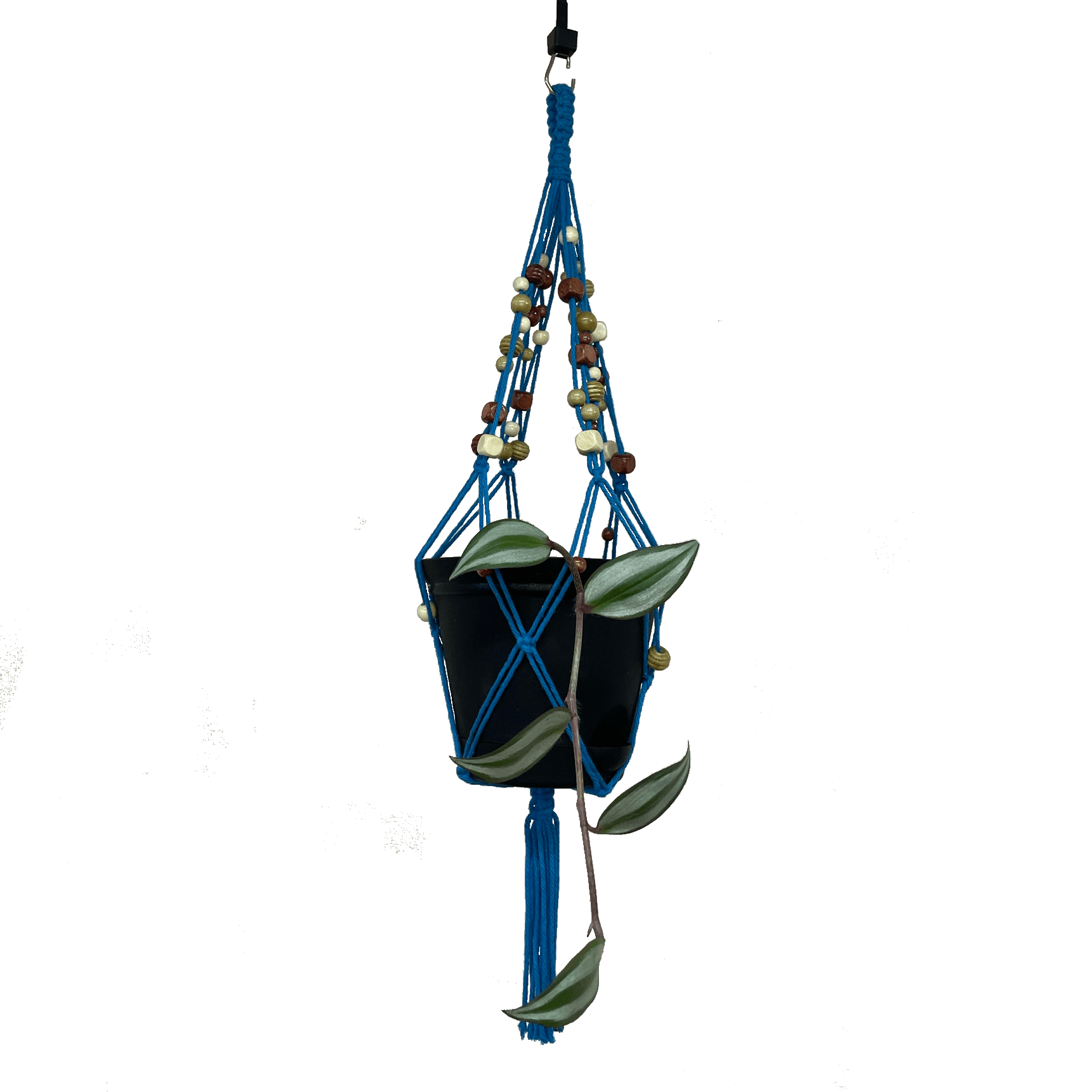 Handmade Macreme Beaded Plant Hanger Worm Wrangler