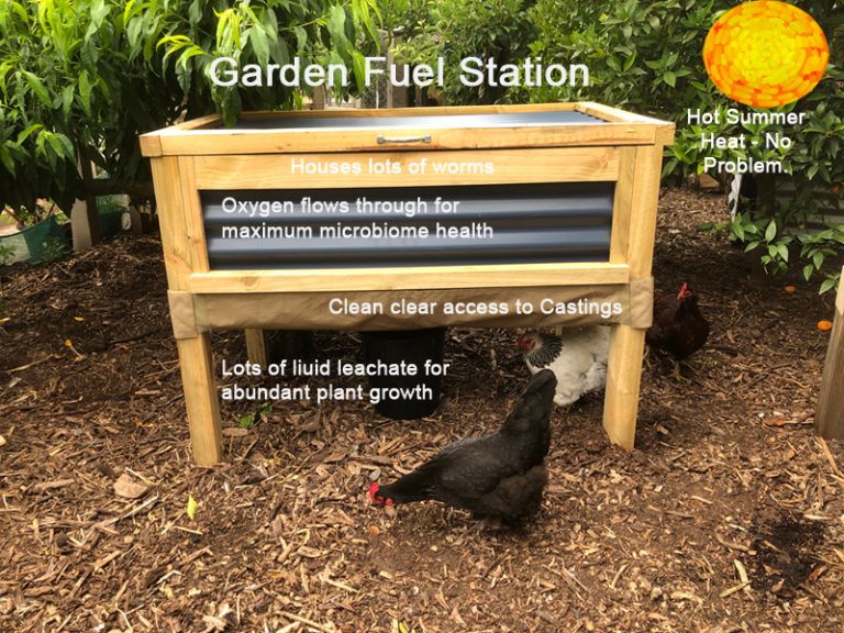 Worm Farms Compost Worms Raised Gardens and Worm Farms for sale