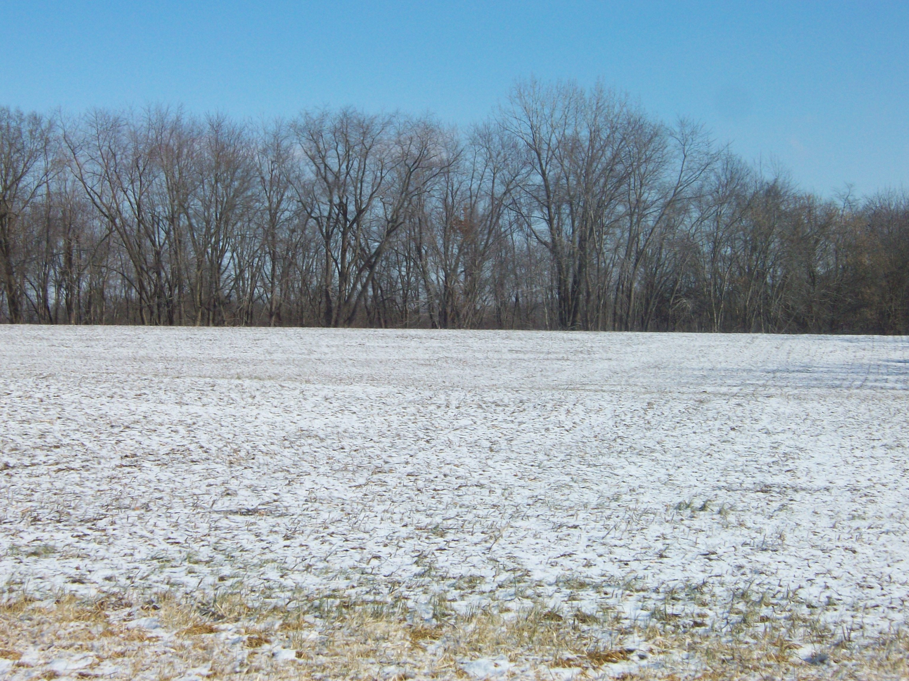 240 Acre County Land Auction Worrell Land Services