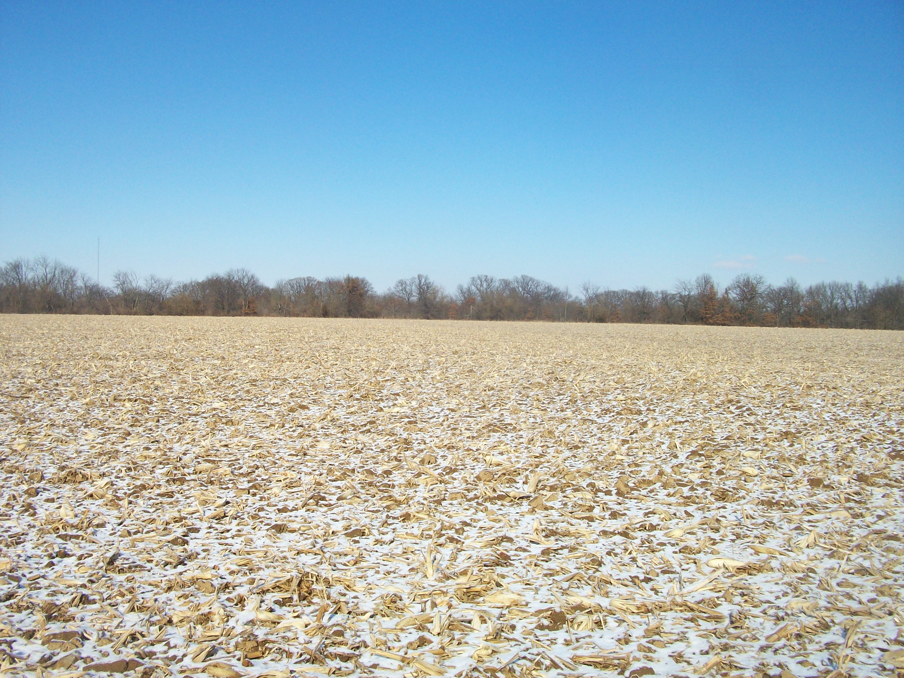 240 Acre County Land Auction Worrell Land Services