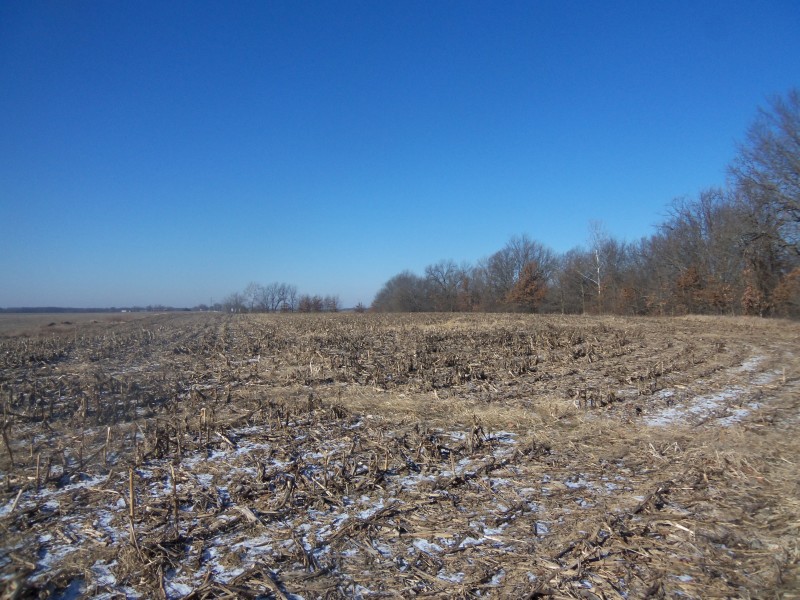 40 Acre County Land Auction Worrell Land Services