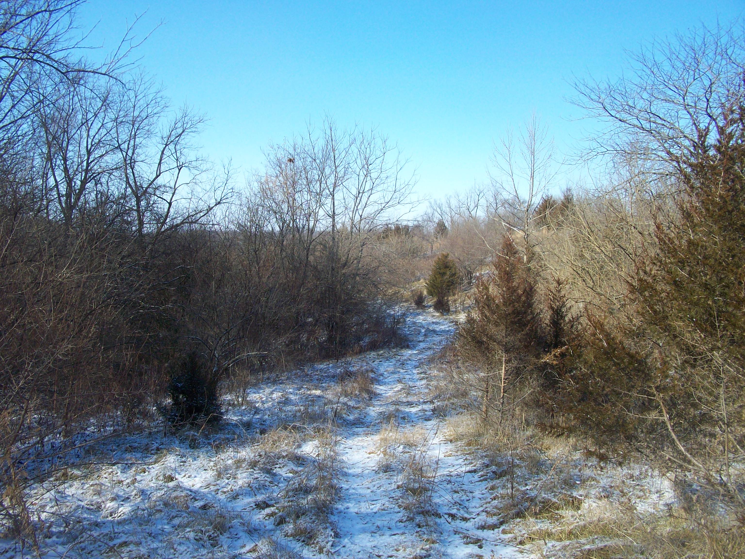 240 Acre County Land Auction Worrell Land Services