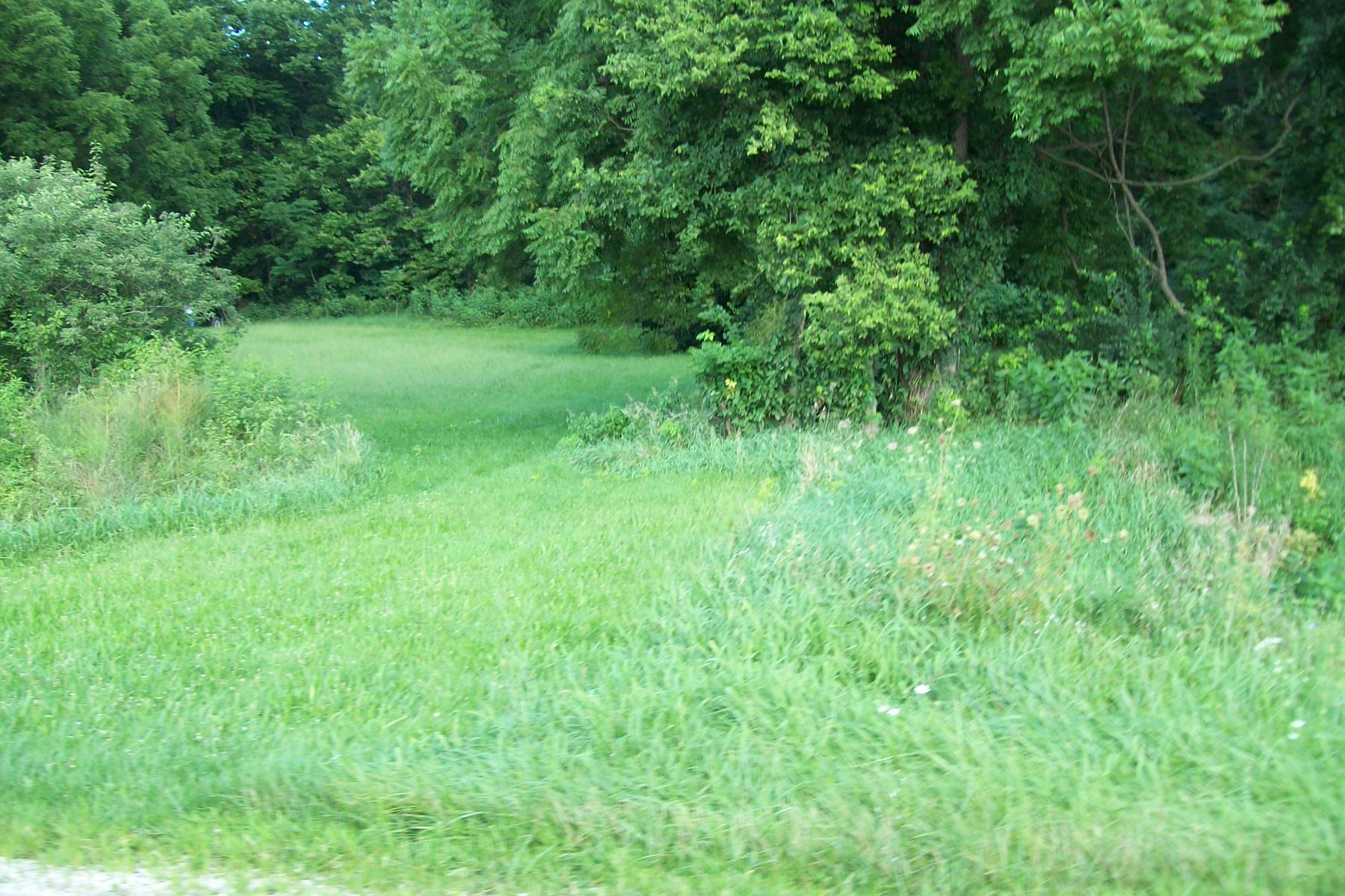 54.83 Acres Hunting Ground, Greene County IL Worrell Land Services