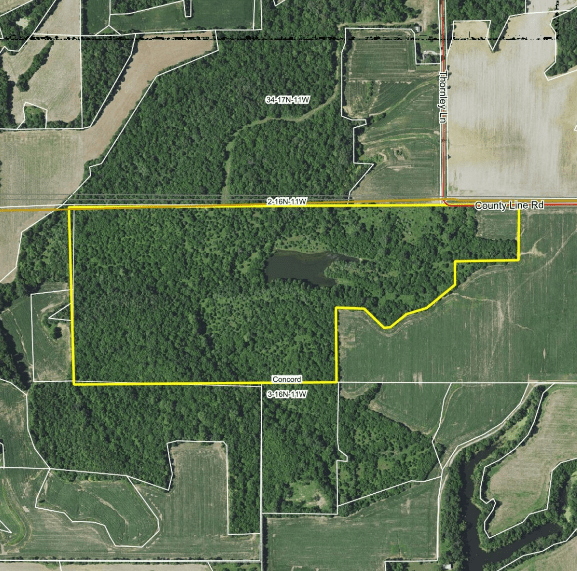 78± Acre Hunting Tract with Buildable Potential · County