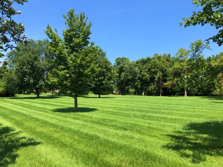 Historic Home on 12.24 Acres · Carrollton, IL Worrell Land Services