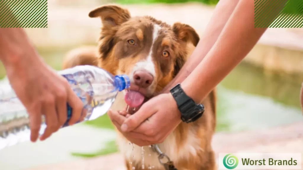 Alkaline Water Brands To Avoid 7 Worst Bottled Water Worst Brands