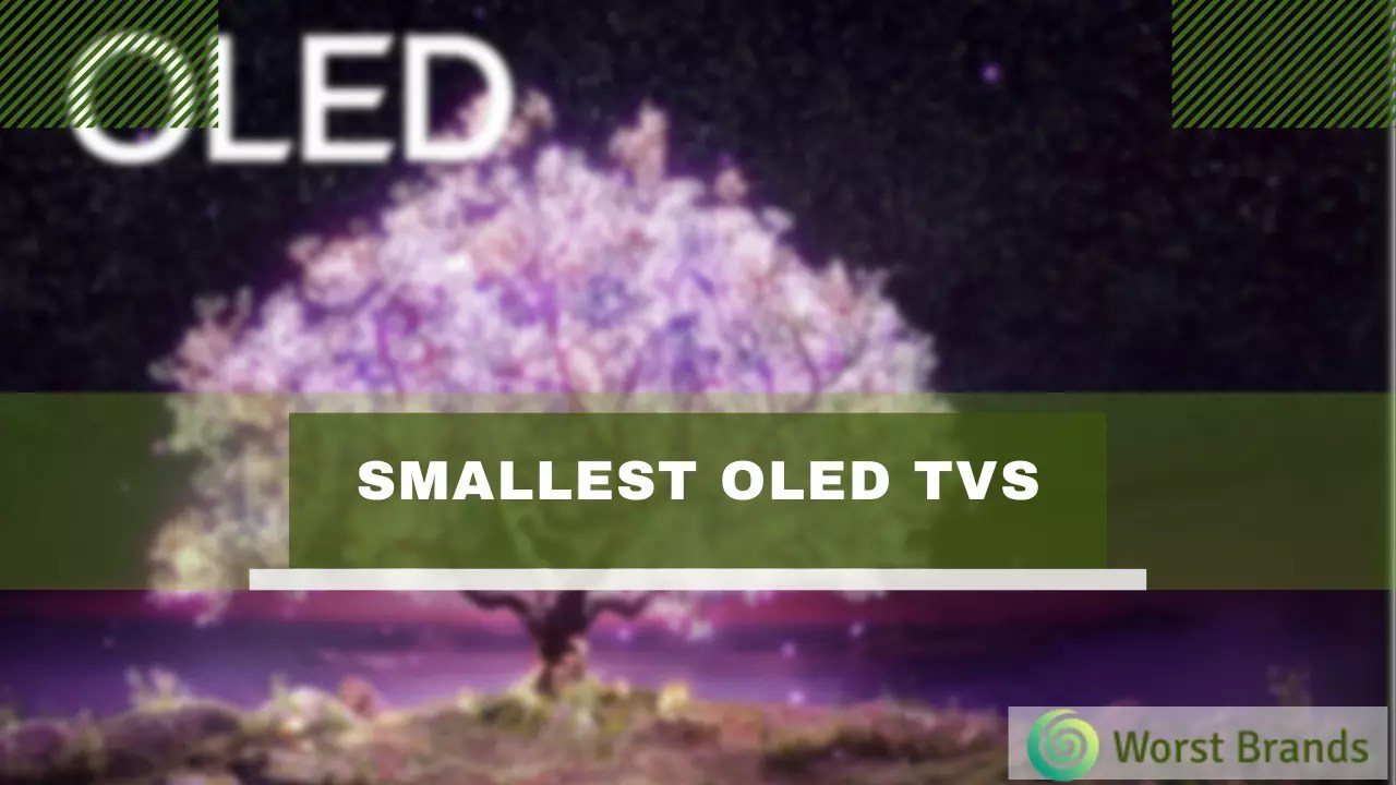 Smallest OLED TVs in 2024 Are These Worth Buying? Worst Brands