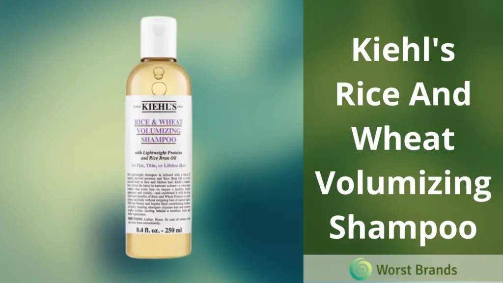 Kiehl's Shampoo Review 2024 [I Tested Their Products] Worst Brands