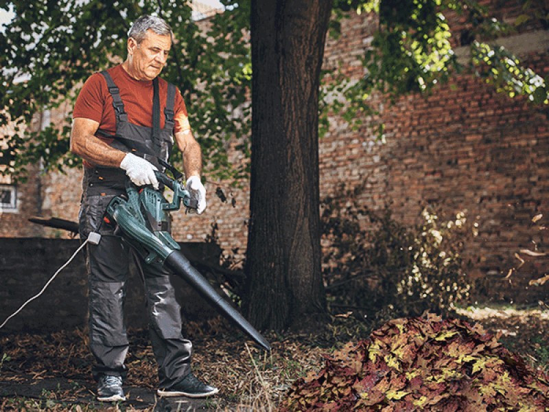 Leaf blowers are a scourge. Why is it hard to get rid of them? Worst