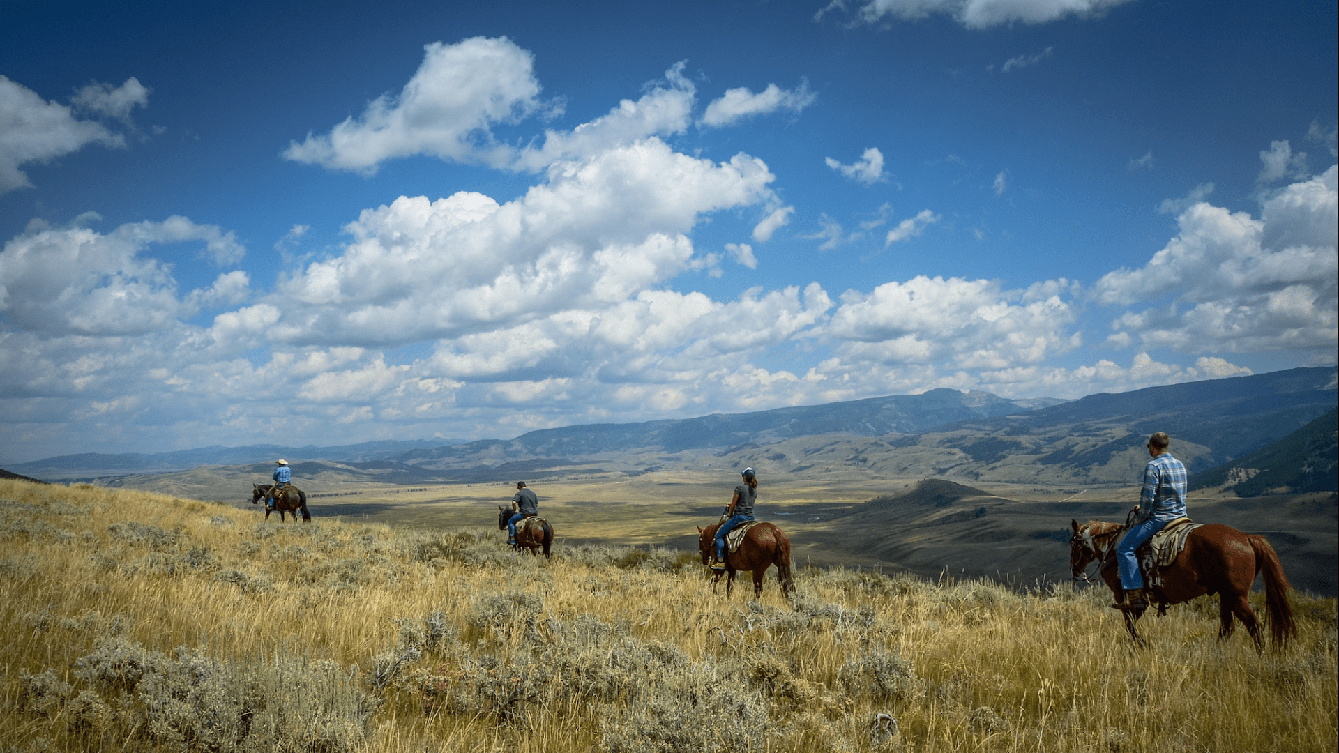 Jackson Hole, WY Activities The Wort Hotel