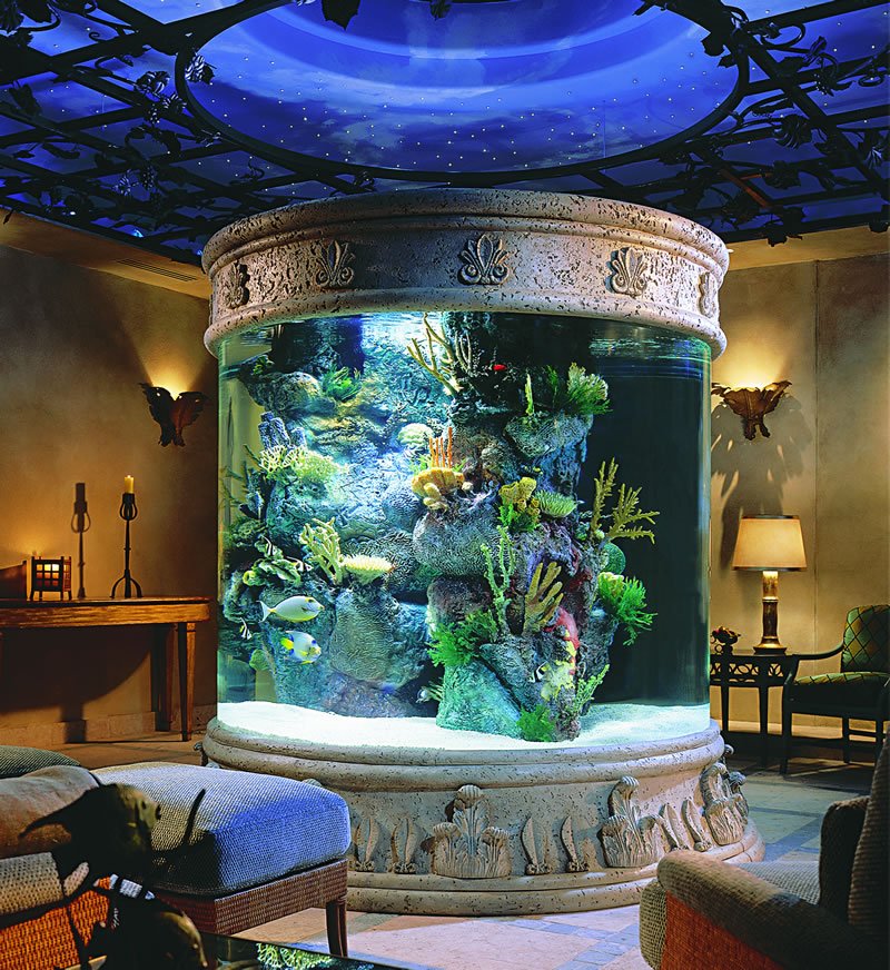The 20 Most Lavish Home Aquariums in the World