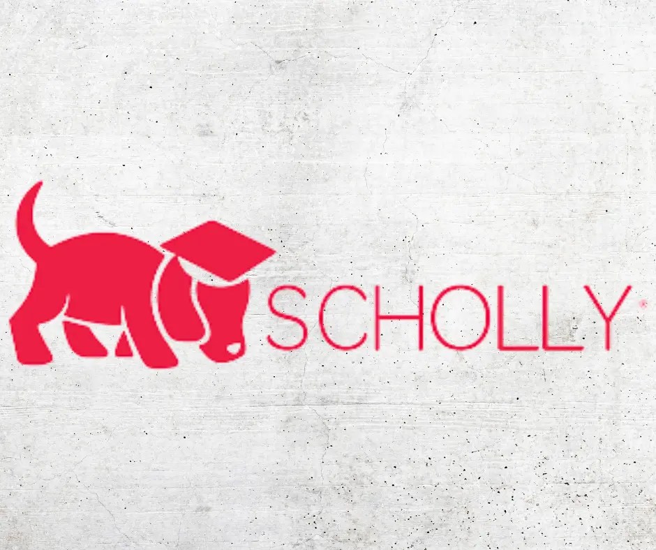 Scholly Net Worth 2023 Shark Tank Impact And Founder Details