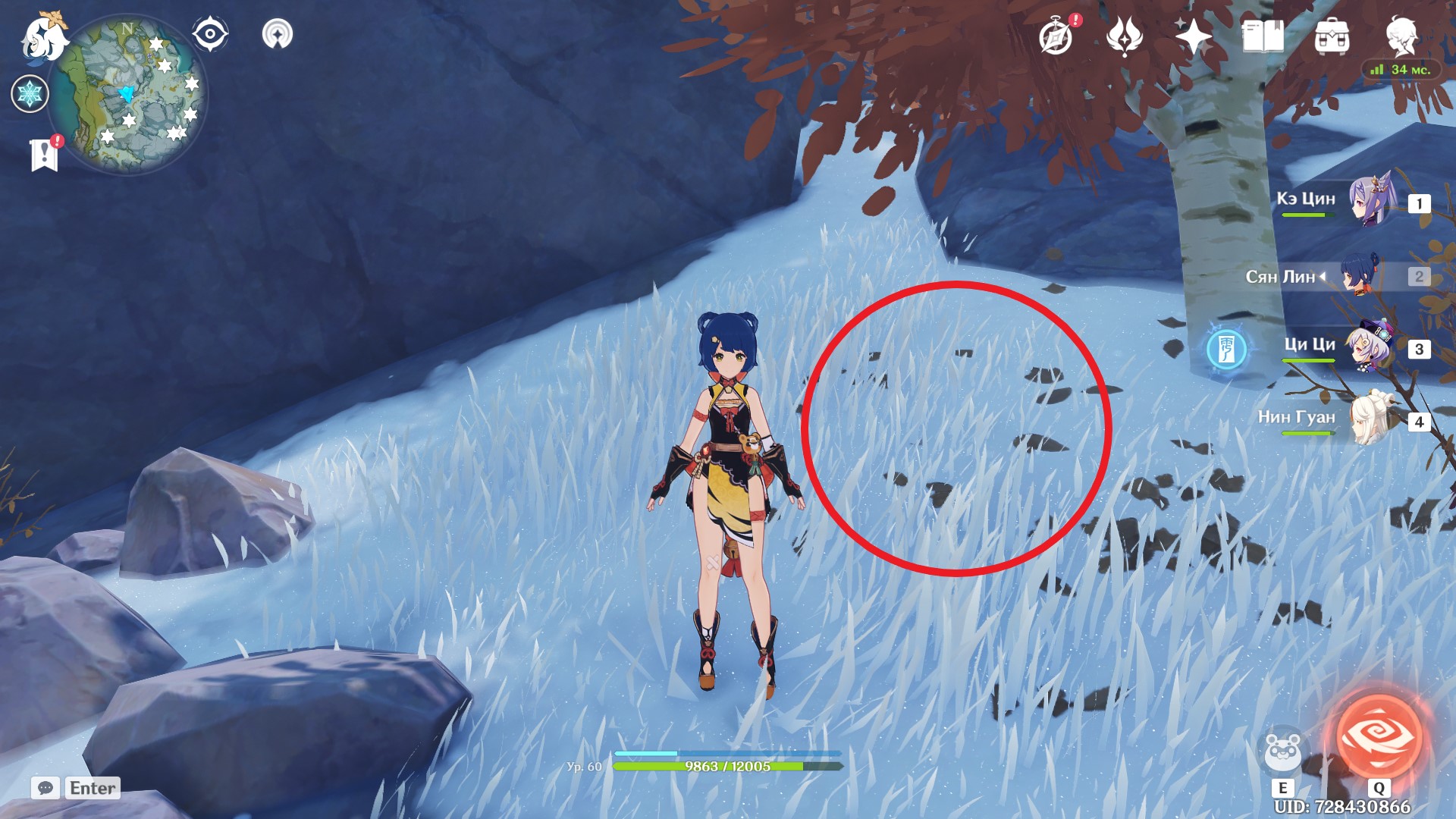 Dónde encontrar Mystic Moon Chests en Genshin Impact en el mapa