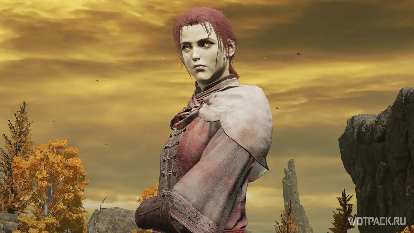 ภารกิจของ Millicent ใน Elden Ring จะหาอวัยวะเทียมของ Valkyrie และรับ