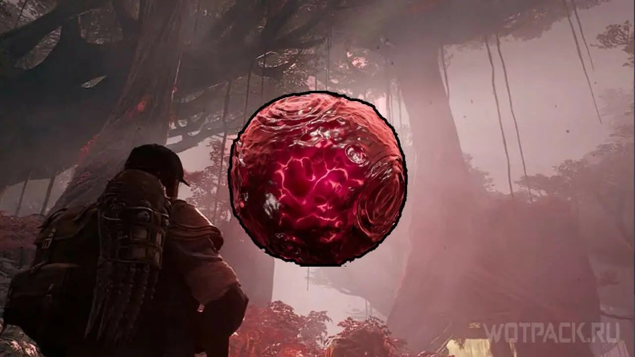 Blood moon essence in Remnant 2 where to find and what it is for