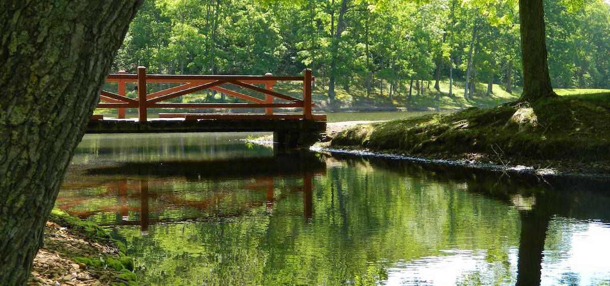 ODNR Reveals Forest Resource Plans For Four State Parks In Southeast