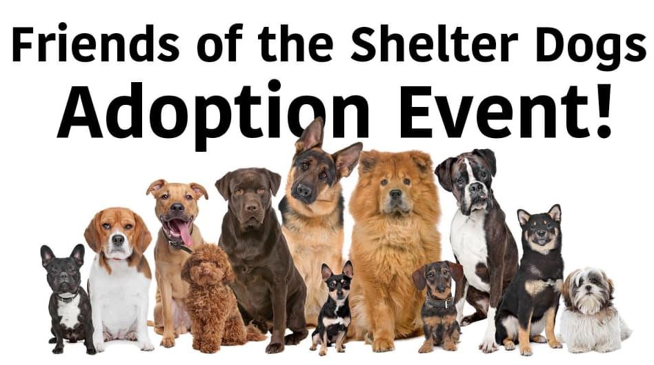 Friends of the Shelter Dogs Adoption Event WOUB Public Media