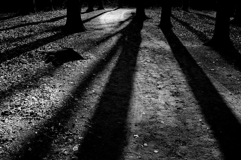 Light and shadows Wouter Brandsma