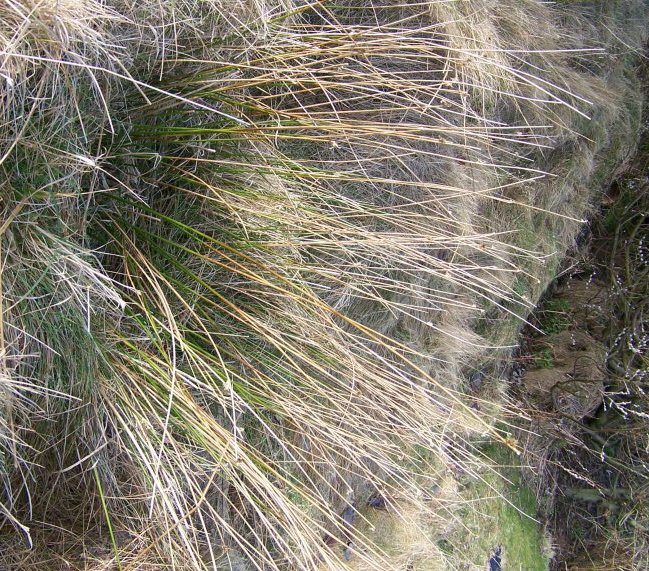 Rush Materials Woven Communities